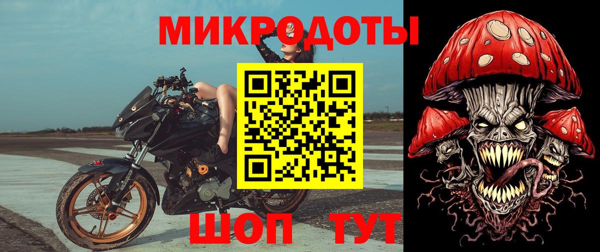 Псилоцибиновые грибы мицелий Всеволожск