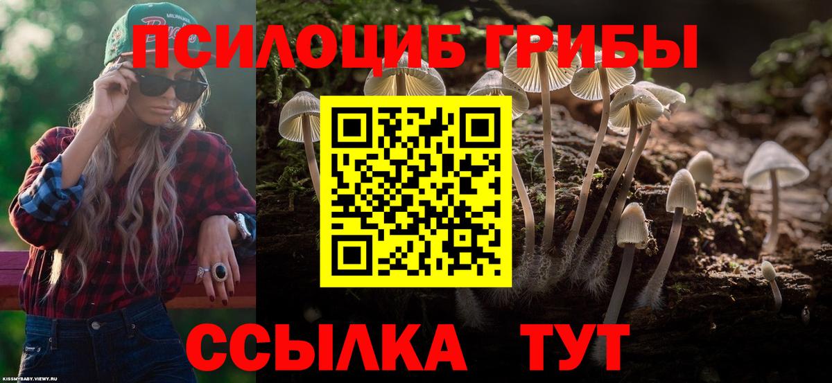Галлюциногенные грибы ЛСД  Вход с VPN  Всеволожск 